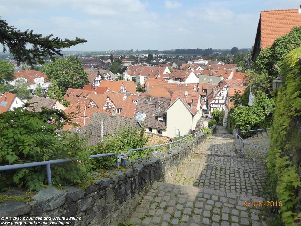 Philosophische Bildwanderung Zwingenberg - Auerbacher Schloss - Melibokus - Ruine Alsbacher Schloss - Zwingenberg - Odenwald