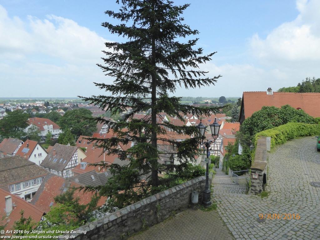 Philosophische Bildwanderung Zwingenberg - Auerbacher Schloss - Melibokus - Ruine Alsbacher Schloss - Zwingenberg - Odenwald