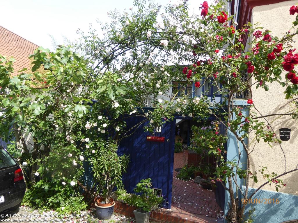 Philosophische Bildwanderung Zwingenberg - Auerbacher Schloss - Melibokus - Ruine Alsbacher Schloss - Zwingenberg - Odenwald