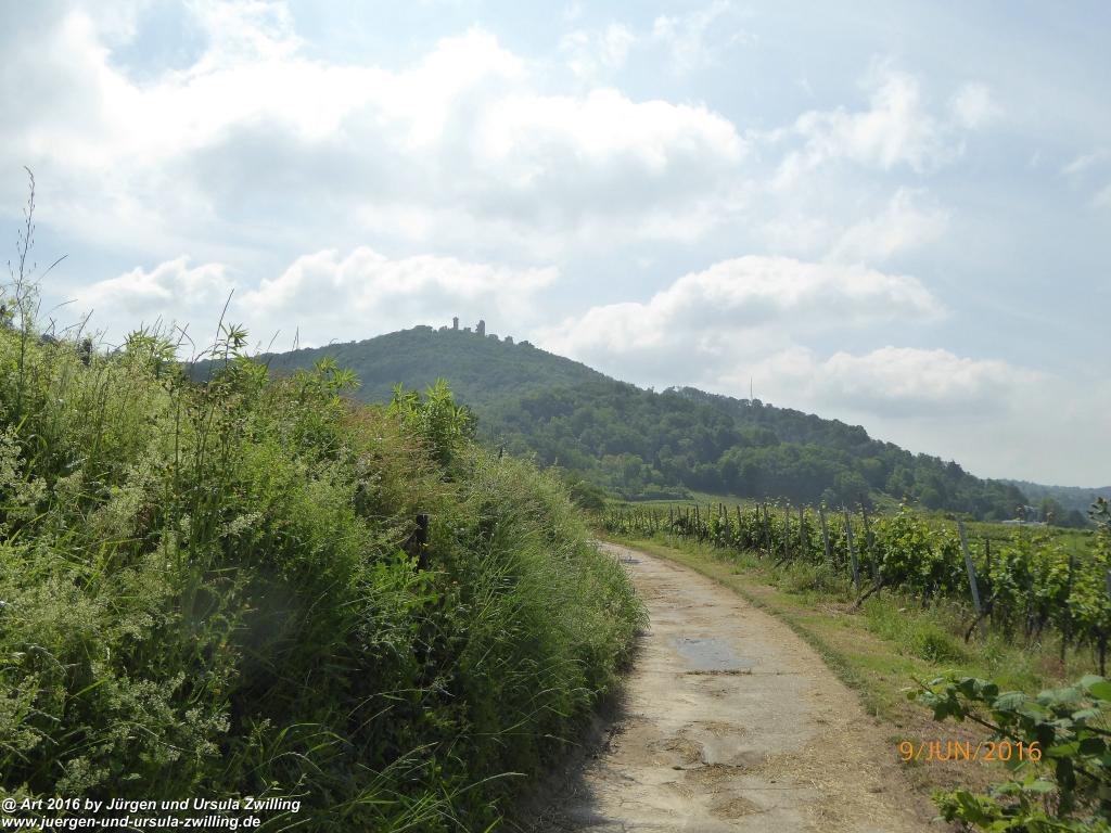 Philosophische Bildwanderung Zwingenberg - Auerbacher Schloss - Melibokus - Ruine Alsbacher Schloss - Zwingenberg - Odenwald