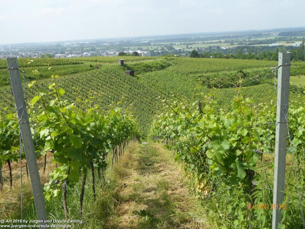 Philosophische Bildwanderung Zwingenberg - Auerbacher Schloss - Melibokus - Ruine Alsbacher Schloss - Zwingenberg - Odenwald