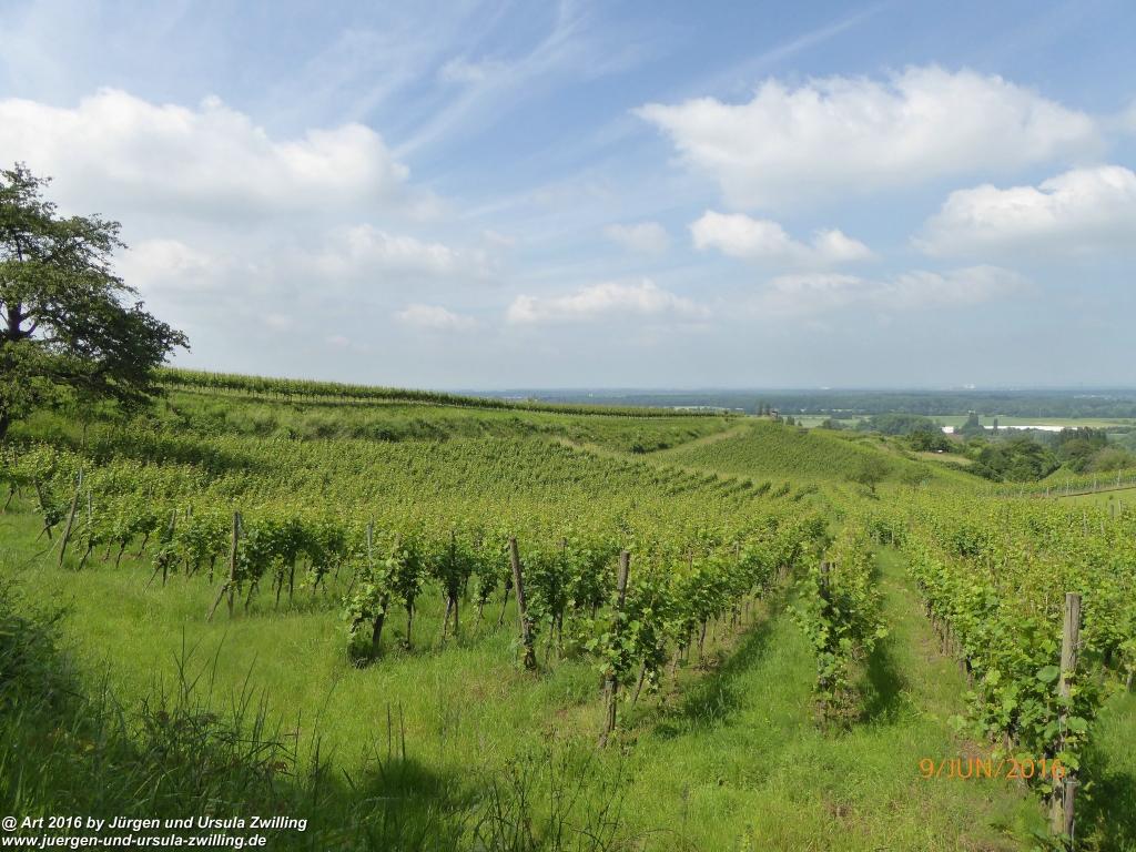 Philosophische Bildwanderung Zwingenberg - Auerbacher Schloss - Melibokus - Ruine Alsbacher Schloss - Zwingenberg - Odenwald