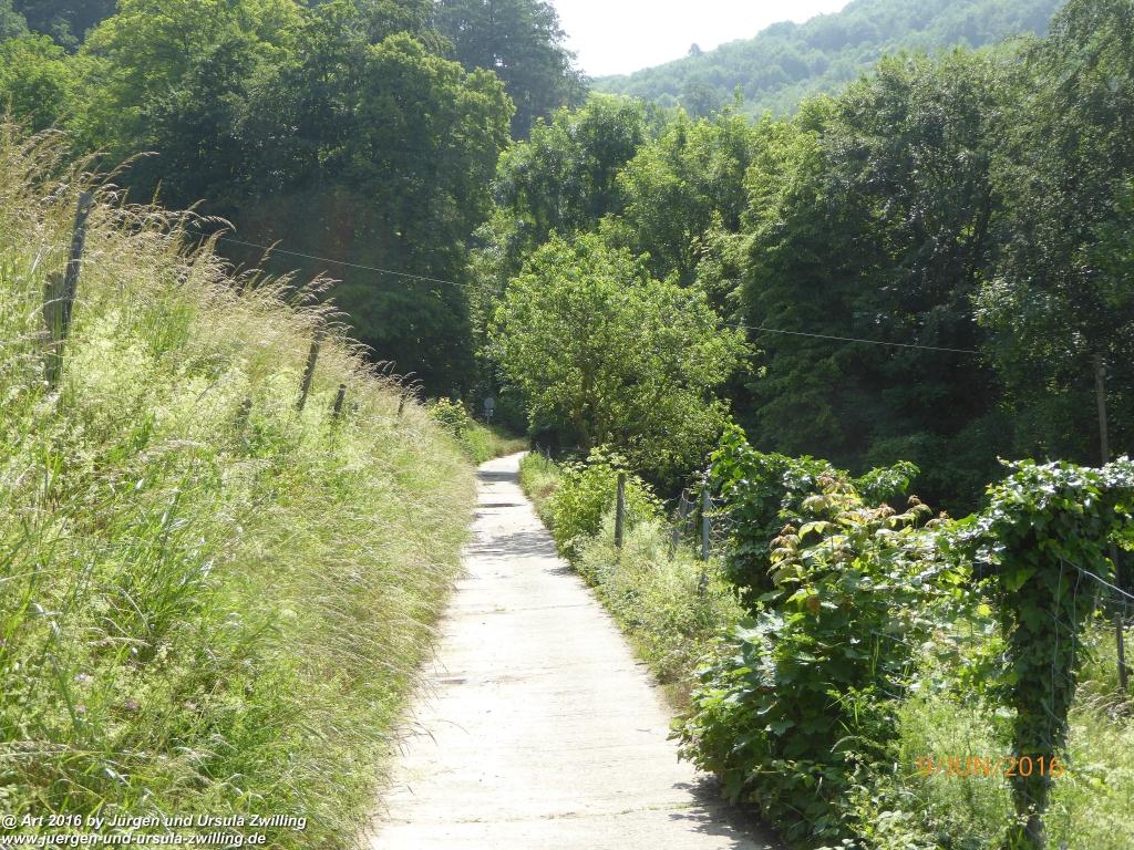 Philosophische Bildwanderung Zwingenberg - Auerbacher Schloss - Melibokus - Ruine Alsbacher Schloss - Zwingenberg - Odenwald