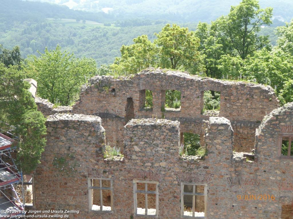 Philosophische Bildwanderung Zwingenberg - Auerbacher Schloss - Melibokus - Ruine Alsbacher Schloss - Zwingenberg - Odenwald