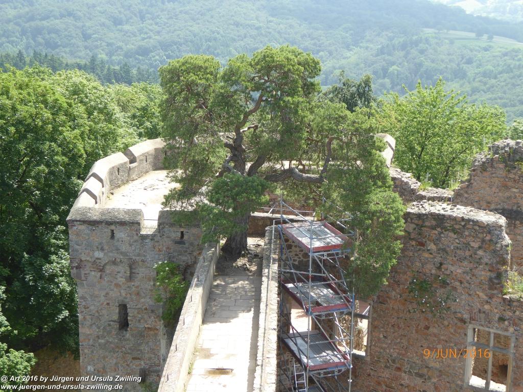 Philosophische Bildwanderung Zwingenberg - Auerbacher Schloss - Melibokus - Ruine Alsbacher Schloss - Zwingenberg - Odenwald