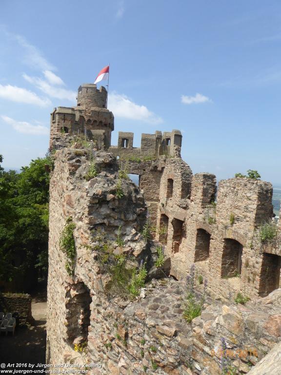 Philosophische Bildwanderung Zwingenberg - Auerbacher Schloss - Melibokus - Ruine Alsbacher Schloss - Zwingenberg - Odenwald