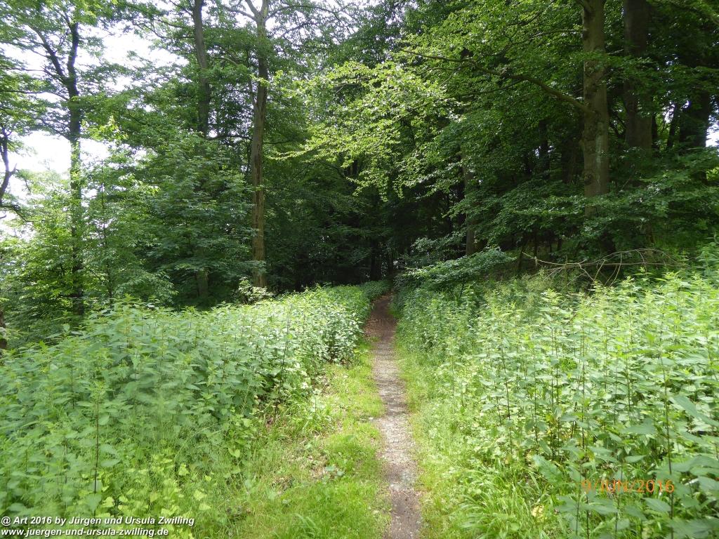 Philosophische Bildwanderung Zwingenberg - Auerbacher Schloss - Melibokus - Ruine Alsbacher Schloss - Zwingenberg - Odenwald