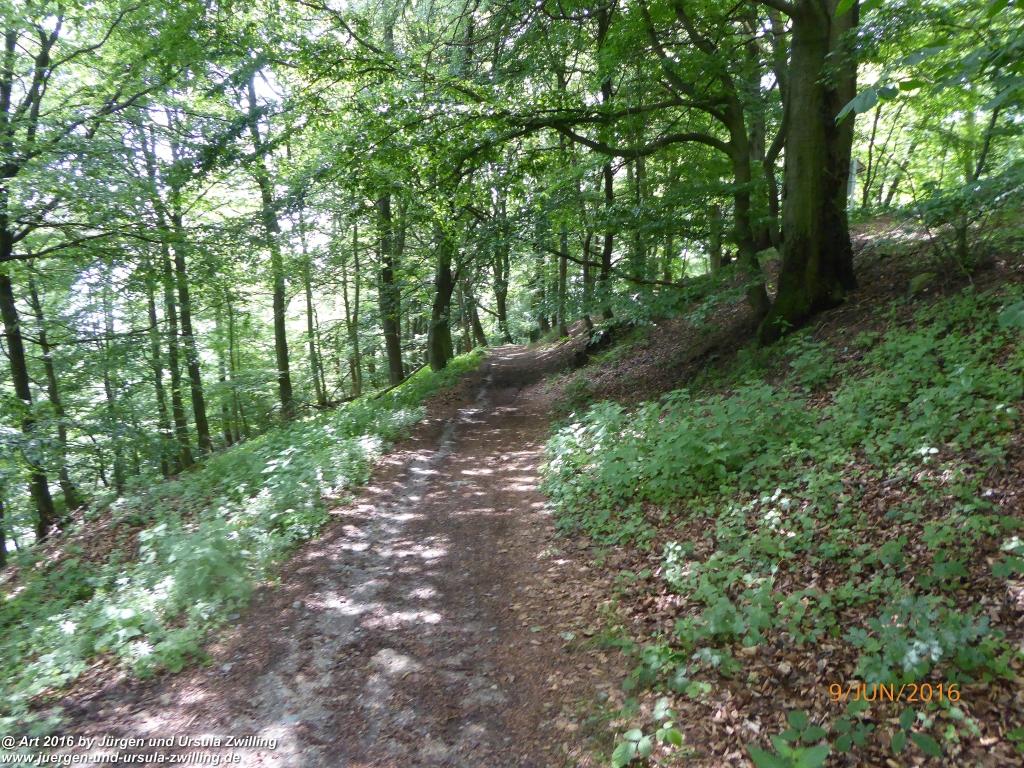 Philosophische Bildwanderung Zwingenberg - Auerbacher Schloss - Melibokus - Ruine Alsbacher Schloss - Zwingenberg - Odenwald