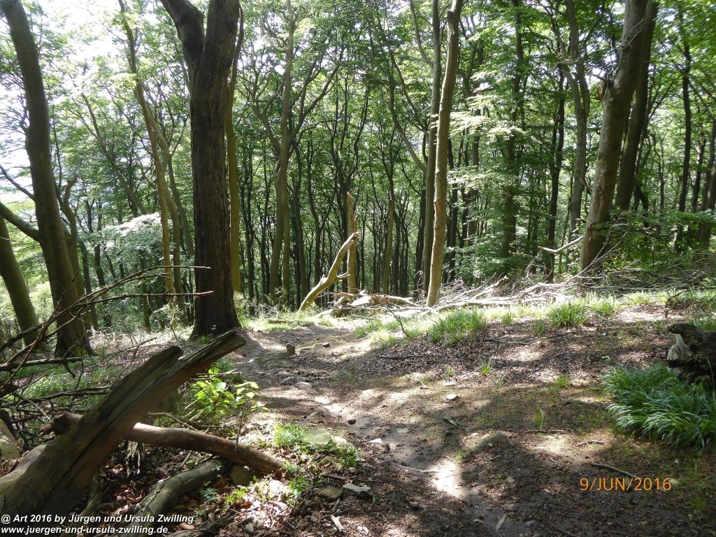 Philosophische Bildwanderung Zwingenberg - Auerbacher Schloss - Melibokus - Ruine Alsbacher Schloss - Zwingenberg - Odenwald