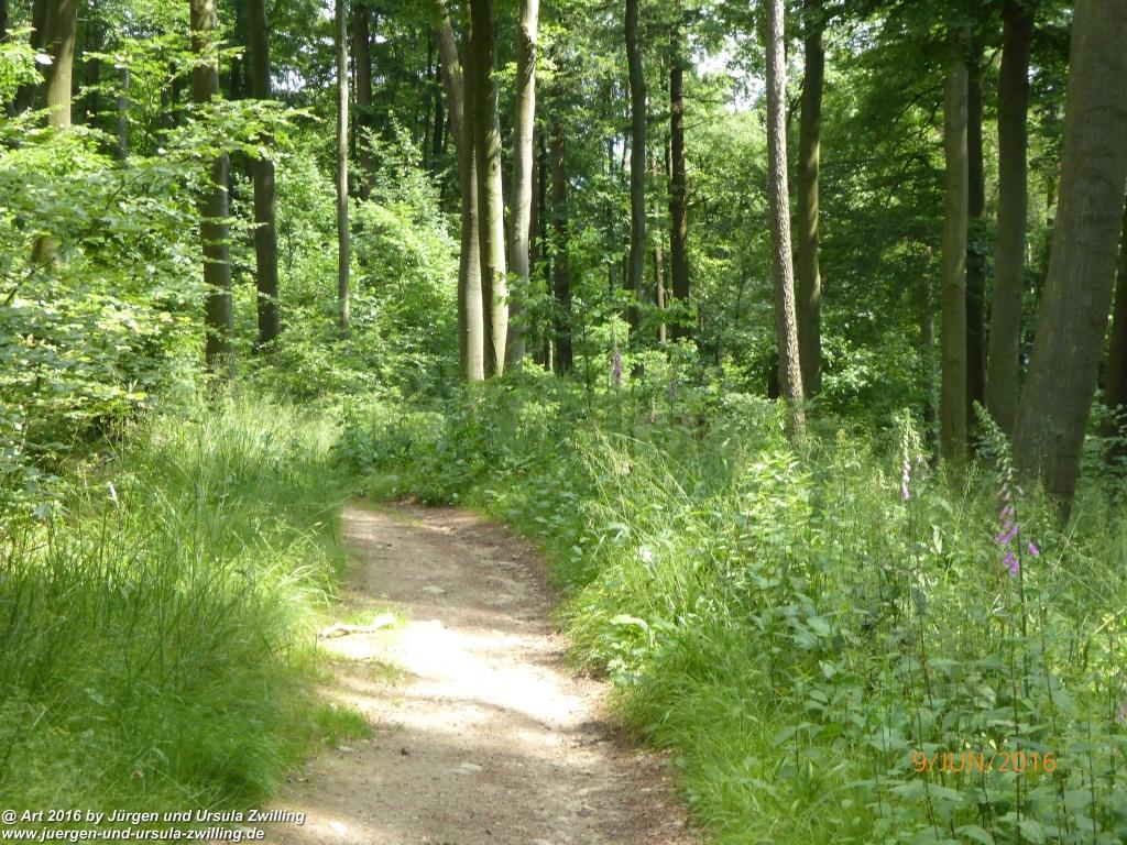 Philosophische Bildwanderung Zwingenberg - Auerbacher Schloss - Melibokus - Ruine Alsbacher Schloss - Zwingenberg - Odenwald