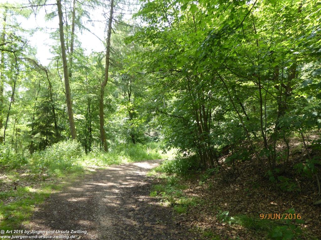 Philosophische Bildwanderung Zwingenberg - Auerbacher Schloss - Melibokus - Ruine Alsbacher Schloss - Zwingenberg - Odenwald