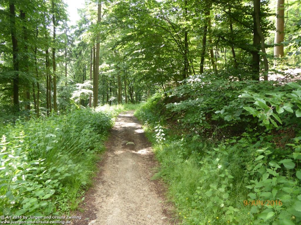 Philosophische Bildwanderung Zwingenberg - Auerbacher Schloss - Melibokus - Ruine Alsbacher Schloss - Zwingenberg - Odenwald