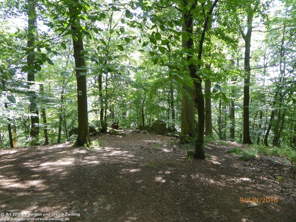 Philosophische Bildwanderung Zwingenberg - Auerbacher Schloss - Melibokus - Ruine Alsbacher Schloss - Zwingenberg - Odenwald