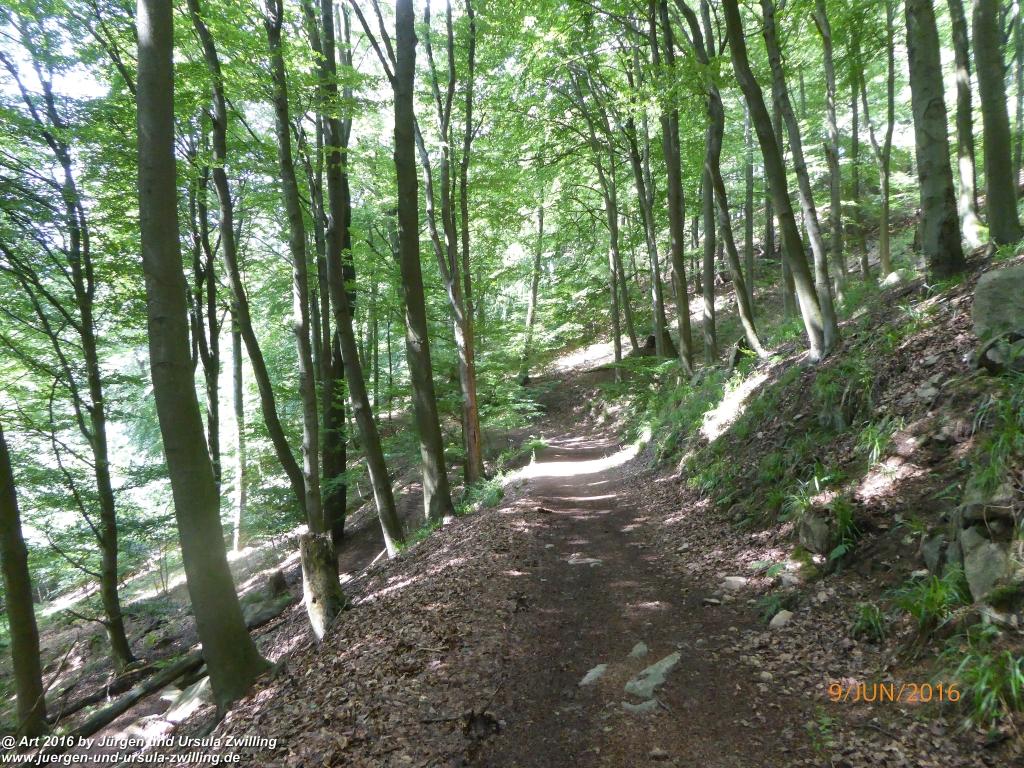 Philosophische Bildwanderung Zwingenberg - Auerbacher Schloss - Melibokus - Ruine Alsbacher Schloss - Zwingenberg - Odenwald