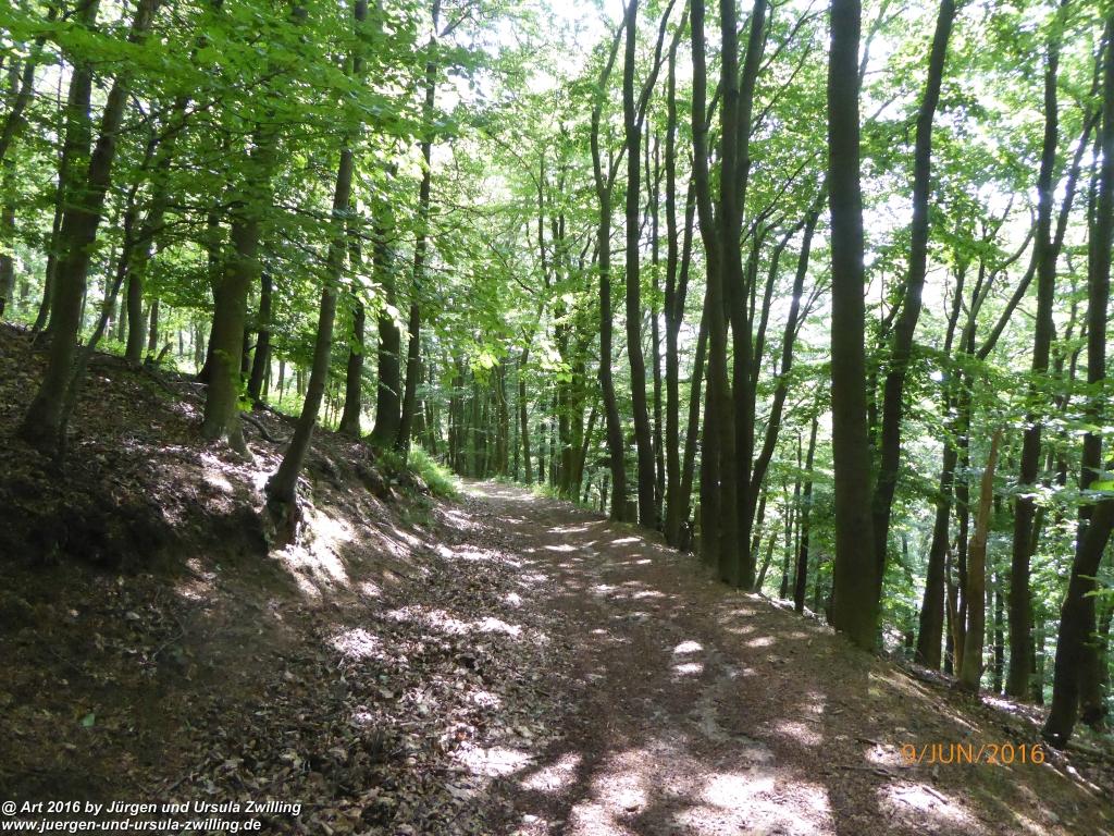 Philosophische Bildwanderung Zwingenberg - Auerbacher Schloss - Melibokus - Ruine Alsbacher Schloss - Zwingenberg - Odenwald