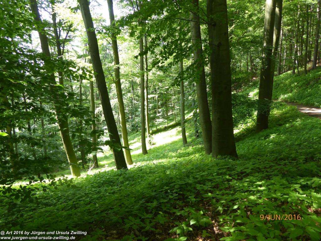 Philosophische Bildwanderung Zwingenberg - Auerbacher Schloss - Melibokus - Ruine Alsbacher Schloss - Zwingenberg - Odenwald