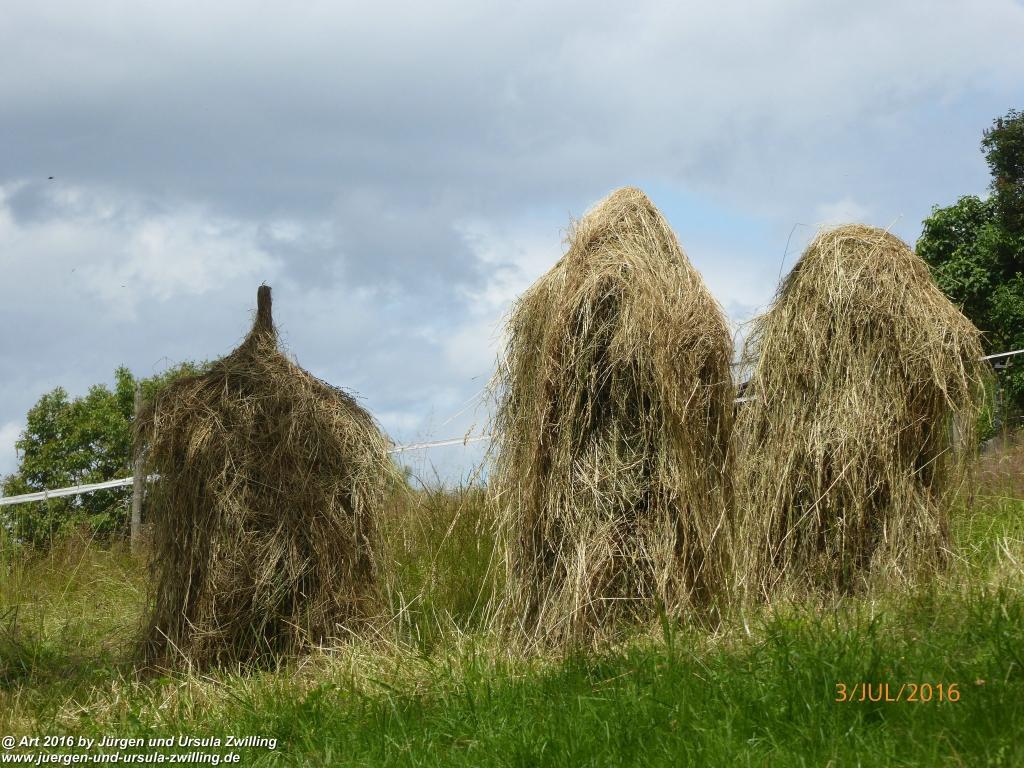 Philosophische Bildwanderung Premiumweg-Leitzachtaler-Bergblicke-in-Fischbachau - Schliersee -Tegernsee