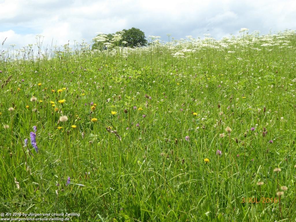 Philosophische Bildwanderung Premiumweg-Leitzachtaler-Bergblicke-in-Fischbachau - Schliersee -Tegernsee