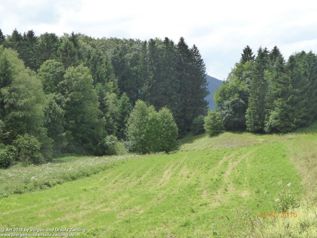 Philosophische Bildwanderung Premiumweg-Leitzachtaler-Bergblicke-in-Fischbachau - Schliersee -Tegernsee