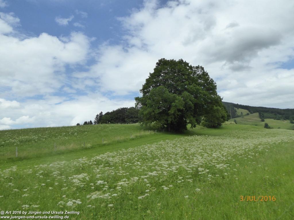 Philosophische Bildwanderung Premiumweg-Leitzachtaler-Bergblicke-in-Fischbachau - Schliersee -Tegernsee
