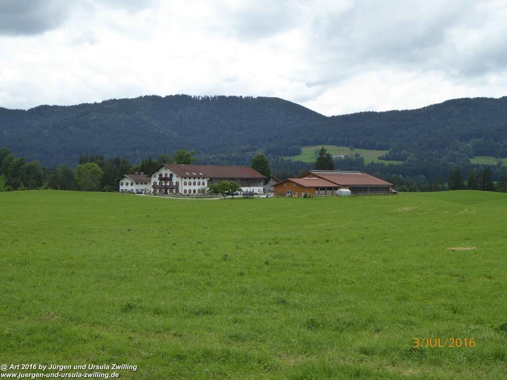 Philosophische Bildwanderung Premiumweg-Leitzachtaler-Bergblicke-in-Fischbachau - Schliersee -Tegernsee