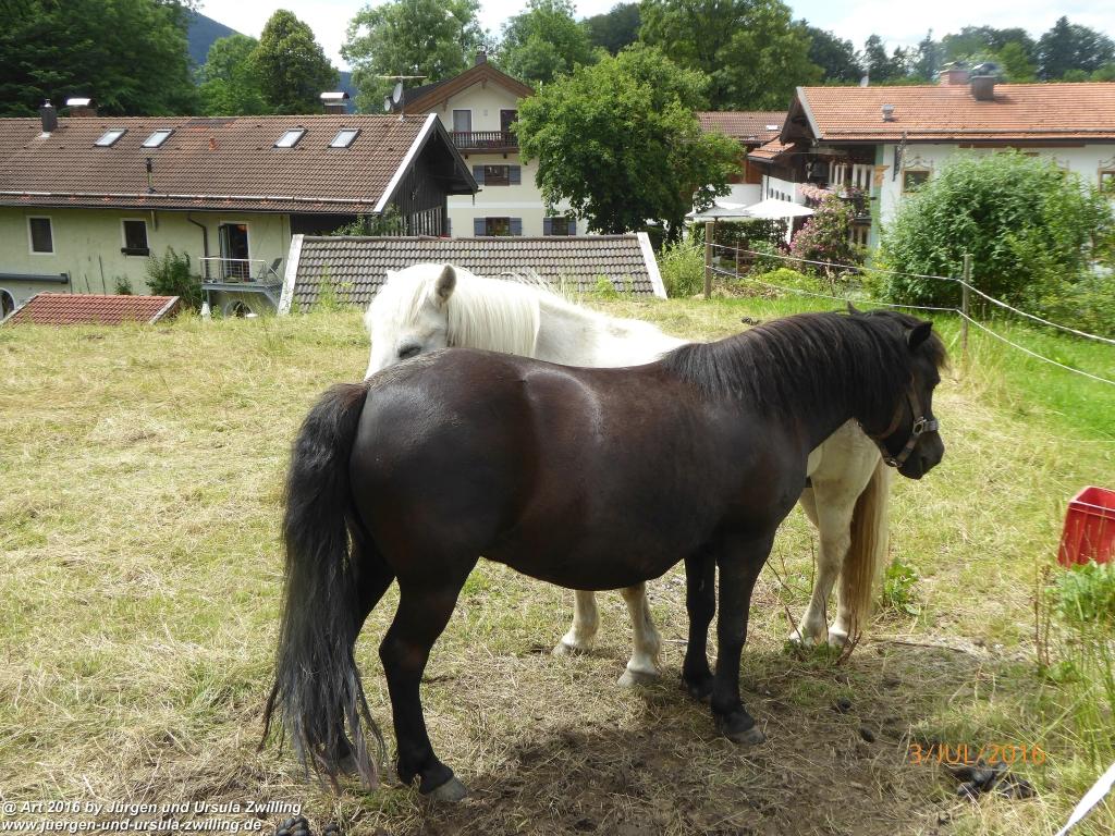 Philosophische Bildwanderung Premiumweg-Leitzachtaler-Bergblicke-in-Fischbachau - Schliersee -Tegernsee