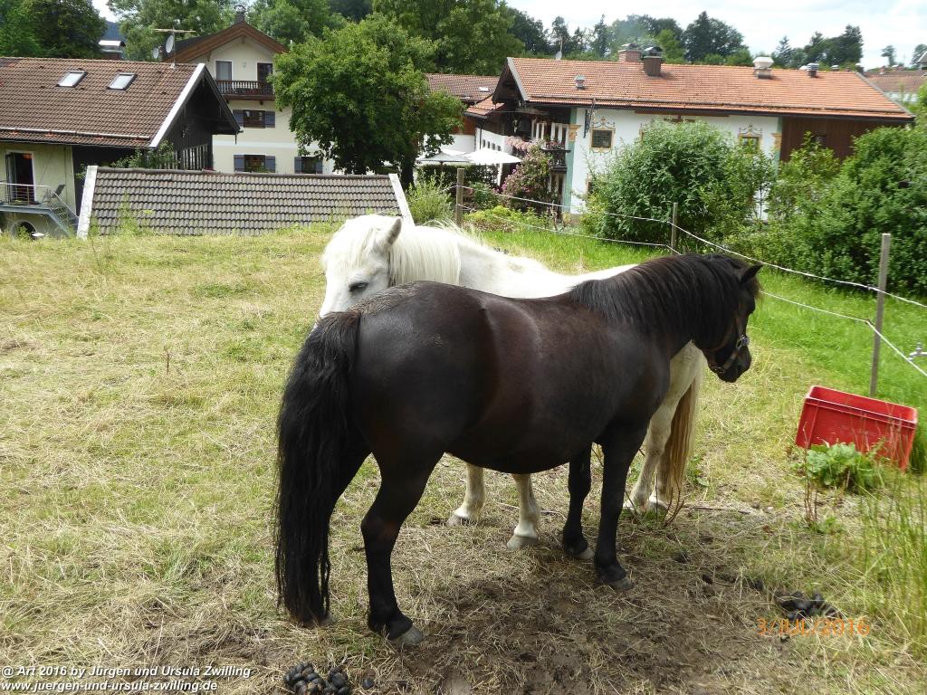 Philosophische Bildwanderung Premiumweg-Leitzachtaler-Bergblicke-in-Fischbachau - Schliersee -Tegernsee