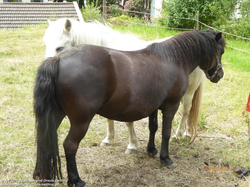 Philosophische Bildwanderung Premiumweg-Leitzachtaler-Bergblicke-in-Fischbachau - Schliersee -Tegernsee