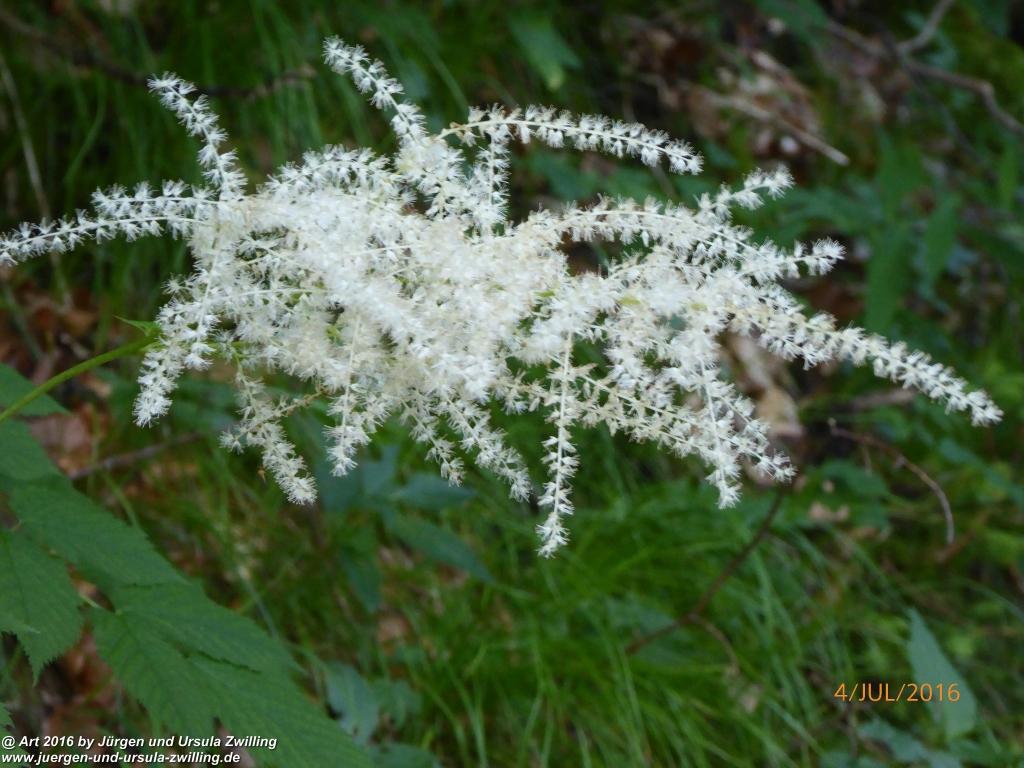 Gipfeltraumtour von Neuhaus auf die Brecherspitze und Josefsthaler Wasserfälle - Schliersee - Tegernsee