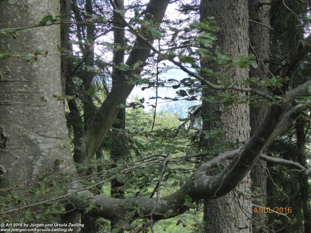 Gipfeltraumtour von Neuhaus auf die Brecherspitze und Josefsthaler Wasserfälle - Schliersee - Tegernsee