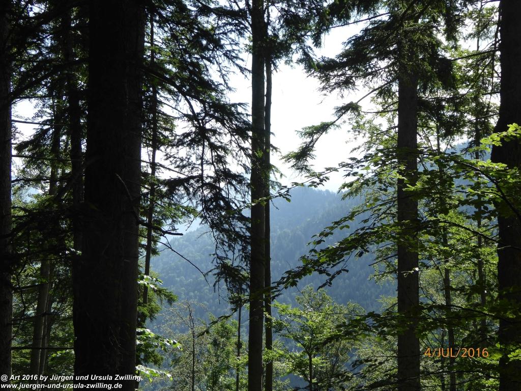 Gipfeltraumtour von Neuhaus auf die Brecherspitze und Josefsthaler Wasserfälle - Schliersee - Tegernsee