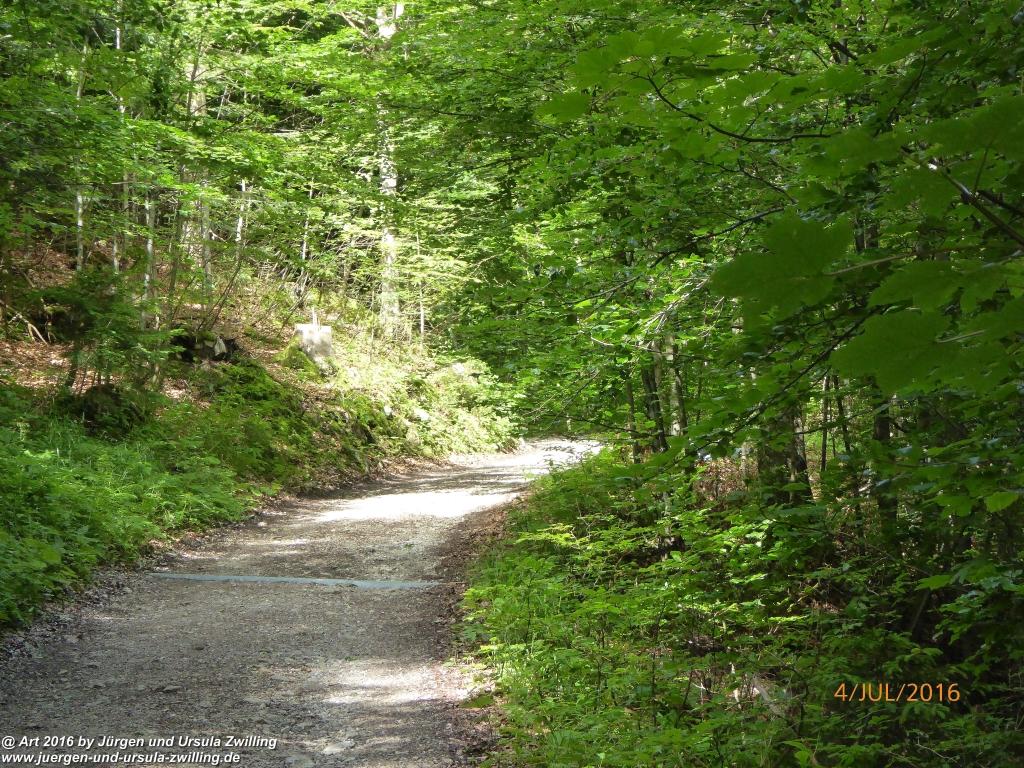 Gipfeltraumtour von Neuhaus auf die Brecherspitze und Josefsthaler Wasserfälle - Schliersee - Tegernsee