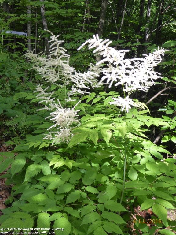 Gipfeltraumtour von Neuhaus auf die Brecherspitze und Josefsthaler Wasserfälle - Schliersee - Tegernsee