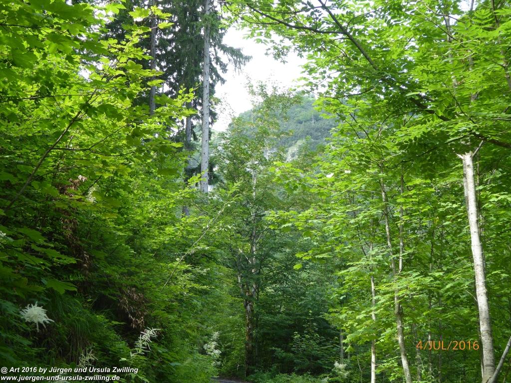 Gipfeltraumtour von Neuhaus auf die Brecherspitze und Josefsthaler Wasserfälle - Schliersee - Tegernsee