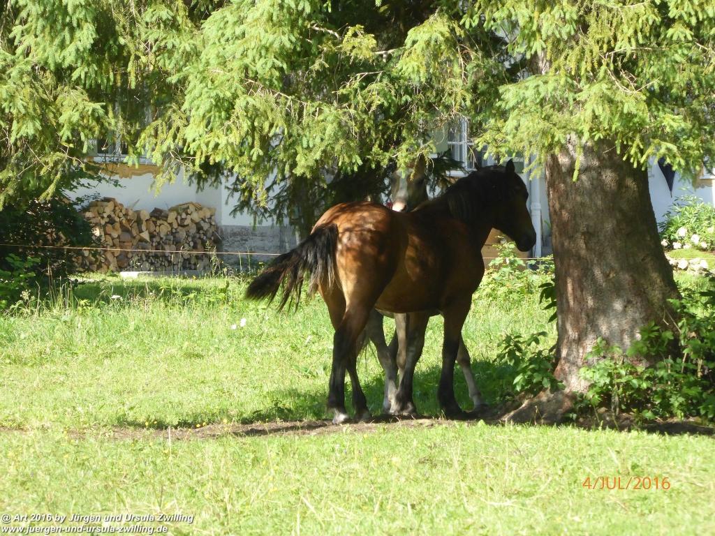 Gipfeltraumtour von Neuhaus auf die Brecherspitze und Josefsthaler Wasserfälle - Schliersee - Tegernsee