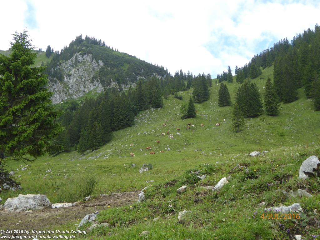 Gipfeltraumtour von Neuhaus auf die Brecherspitze und Josefsthaler Wasserfälle - Schliersee - Tegernsee