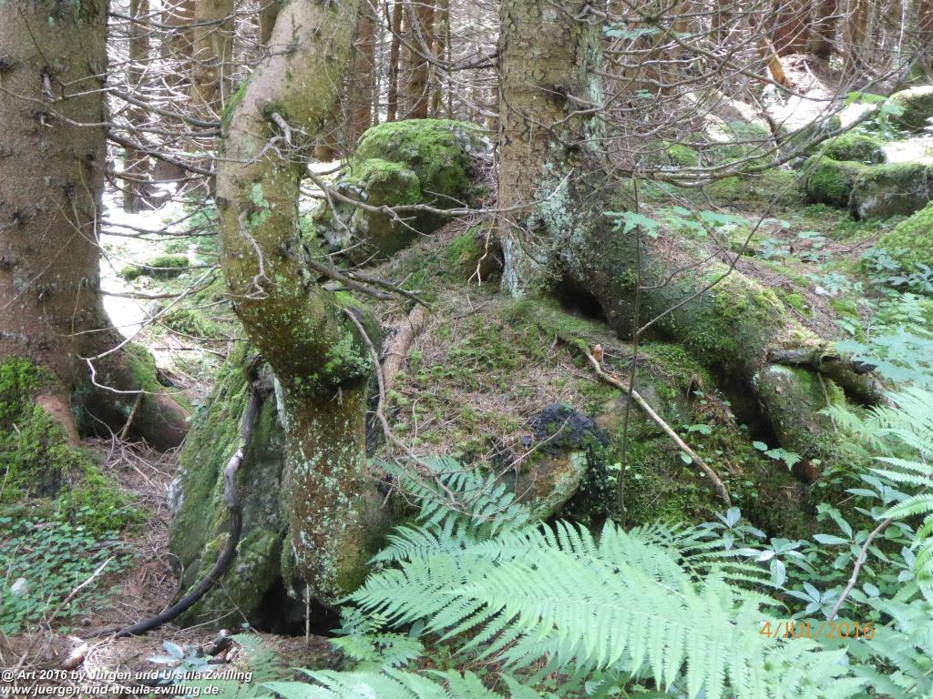 Gipfeltraumtour von Neuhaus auf die Brecherspitze und Josefsthaler Wasserfälle - Schliersee - Tegernsee