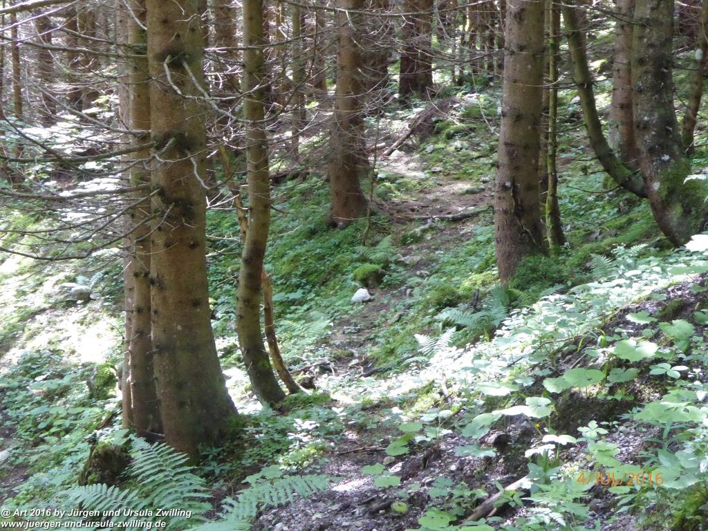 Gipfeltraumtour von Neuhaus auf die Brecherspitze und Josefsthaler Wasserfälle - Schliersee - Tegernsee