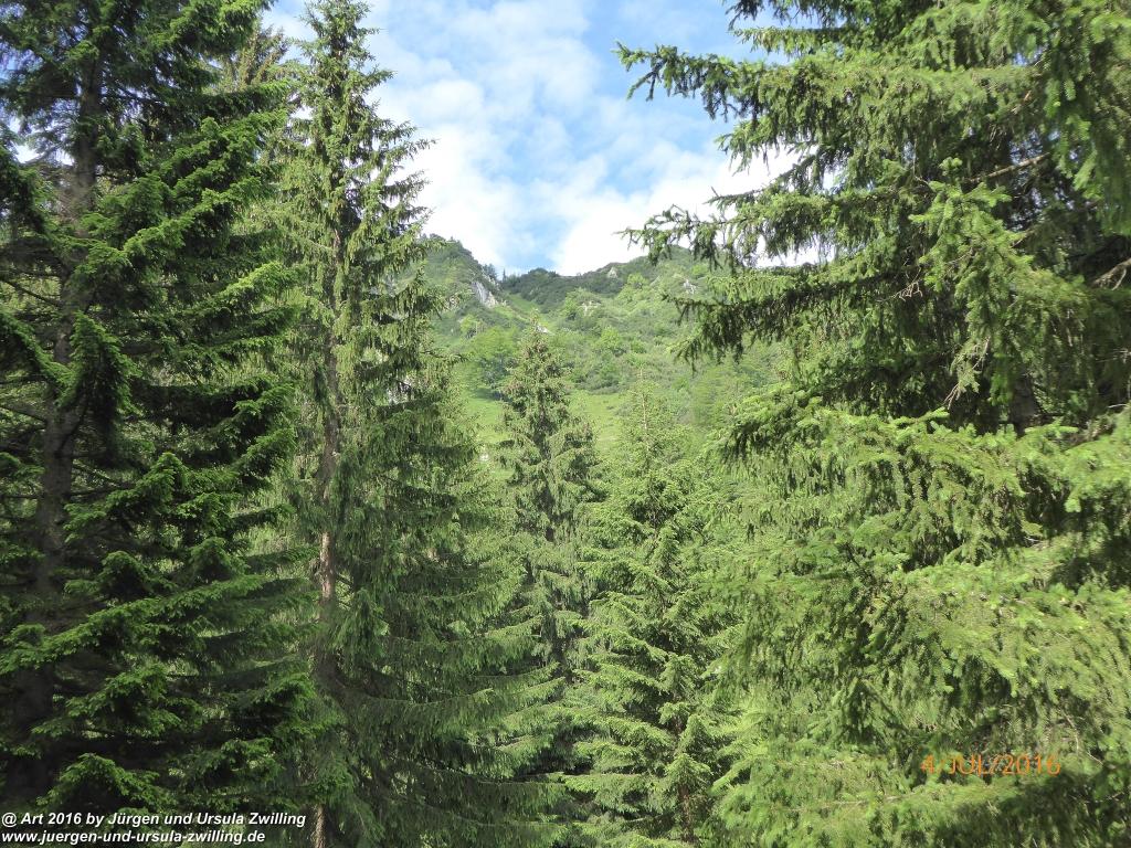 Gipfeltraumtour von Neuhaus auf die Brecherspitze und Josefsthaler Wasserfälle - Schliersee - Tegernsee