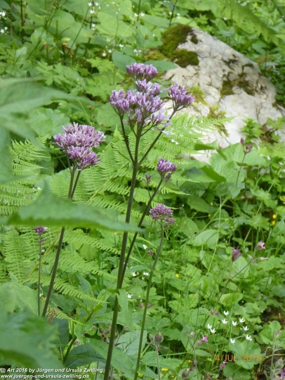 Gipfeltraumtour von Neuhaus auf die Brecherspitze und Josefsthaler Wasserfälle - Schliersee - Tegernsee