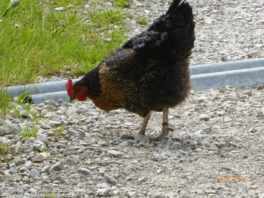 Gipfeltraumtour von Neuhaus auf die Brecherspitze und Josefsthaler Wasserfälle - Schliersee - Tegernsee