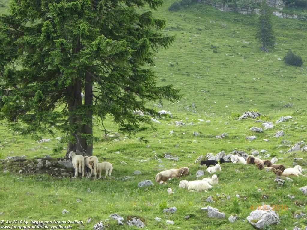 Gipfeltraumtour von Neuhaus auf die Brecherspitze und Josefsthaler Wasserfälle - Schliersee - Tegernsee
