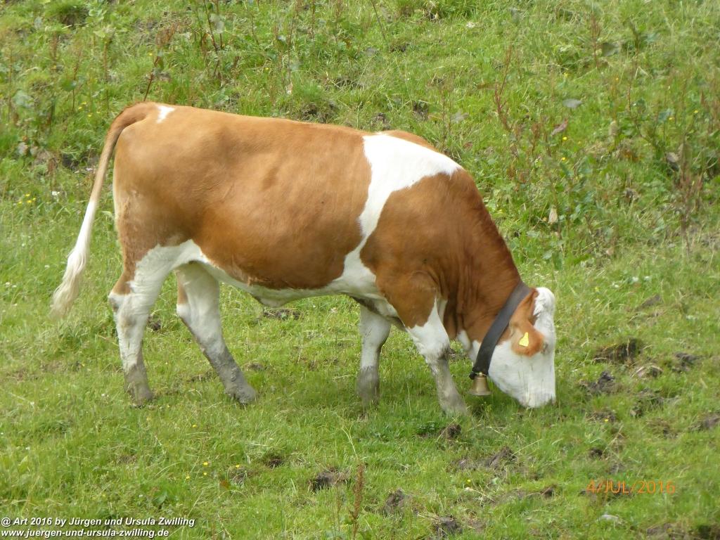 Gipfeltraumtour von Neuhaus auf die Brecherspitze und Josefsthaler Wasserfälle - Schliersee - Tegernsee