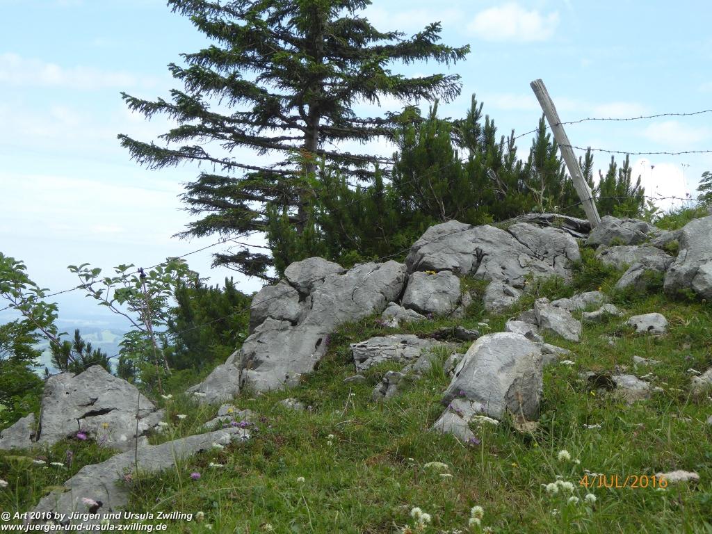 Gipfeltraumtour von Neuhaus auf die Brecherspitze und Josefsthaler Wasserfälle - Schliersee - Tegernsee