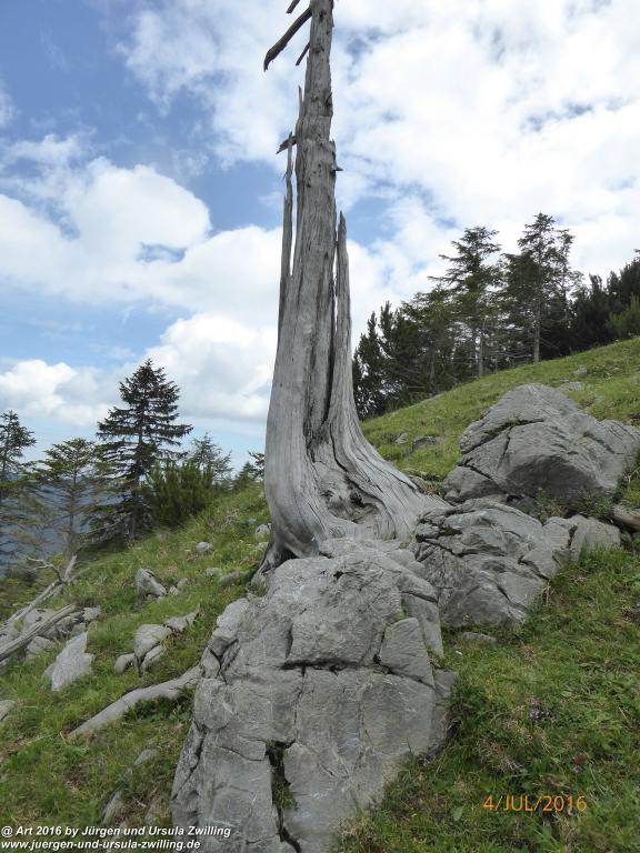 Gipfeltraumtour von Neuhaus auf die Brecherspitze und Josefsthaler Wasserfälle - Schliersee - Tegernsee