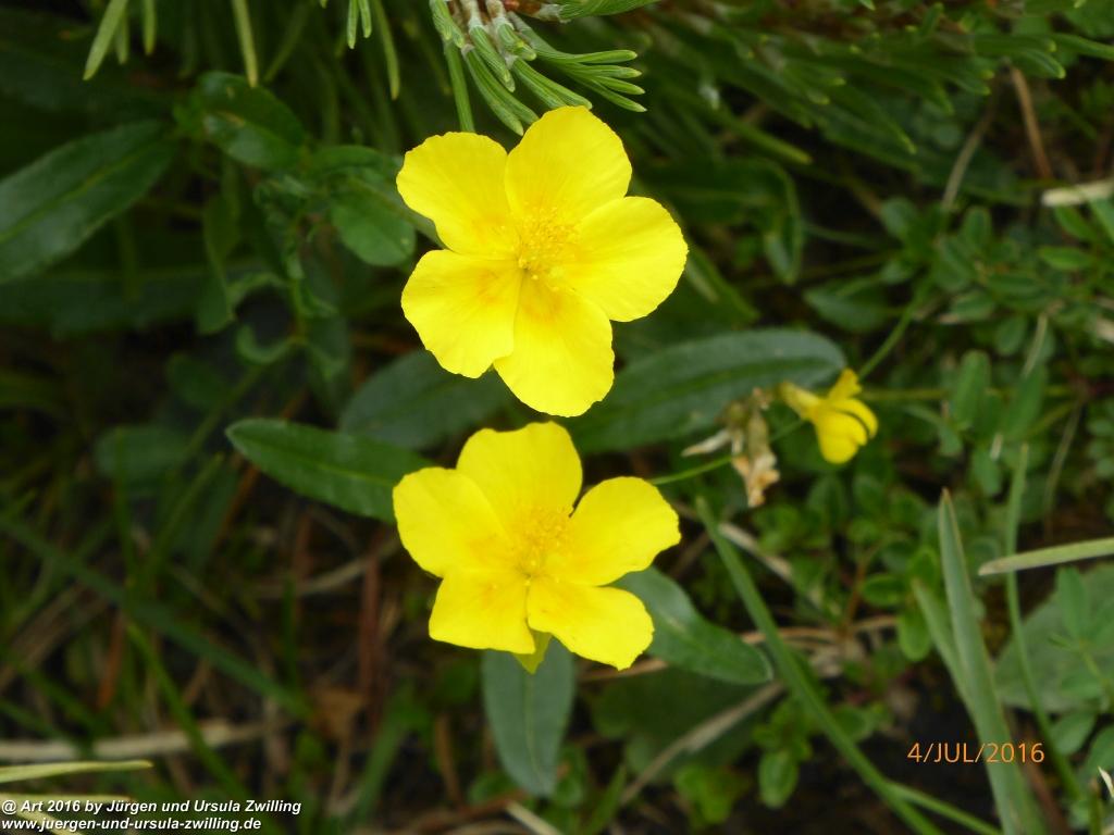 Gipfeltraumtour von Neuhaus auf die Brecherspitze und Josefsthaler Wasserfälle - Schliersee - Tegernsee
