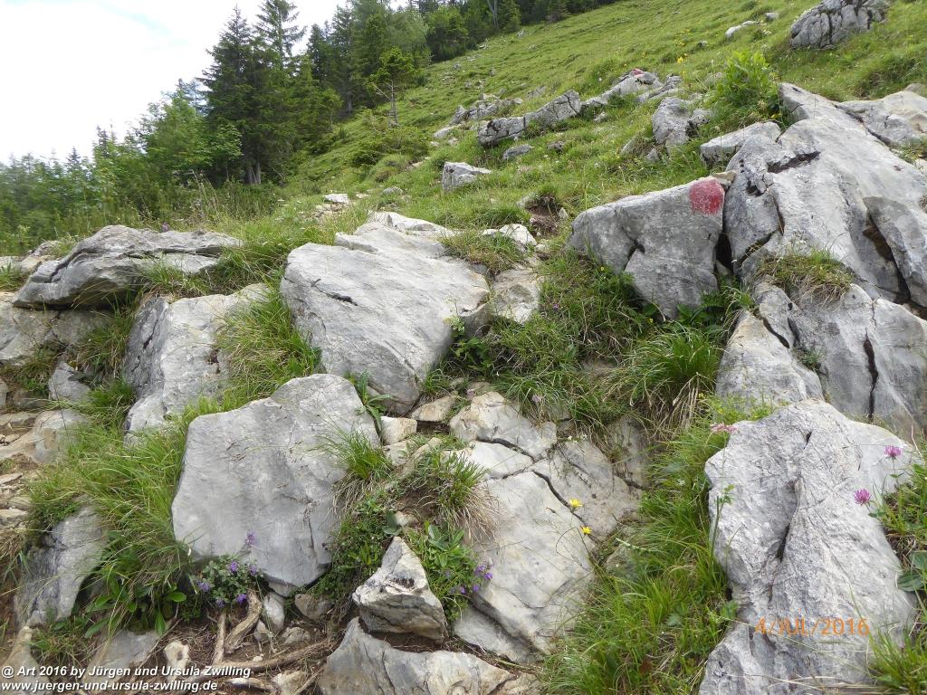 Gipfeltraumtour von Neuhaus auf die Brecherspitze und Josefsthaler Wasserfälle - Schliersee - Tegernsee