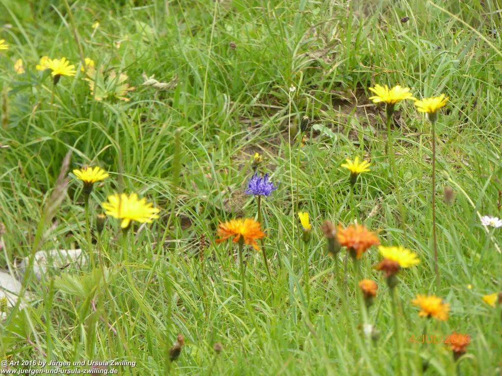 Gipfeltraumtour von Neuhaus auf die Brecherspitze und Josefsthaler Wasserfälle - Schliersee - Tegernsee