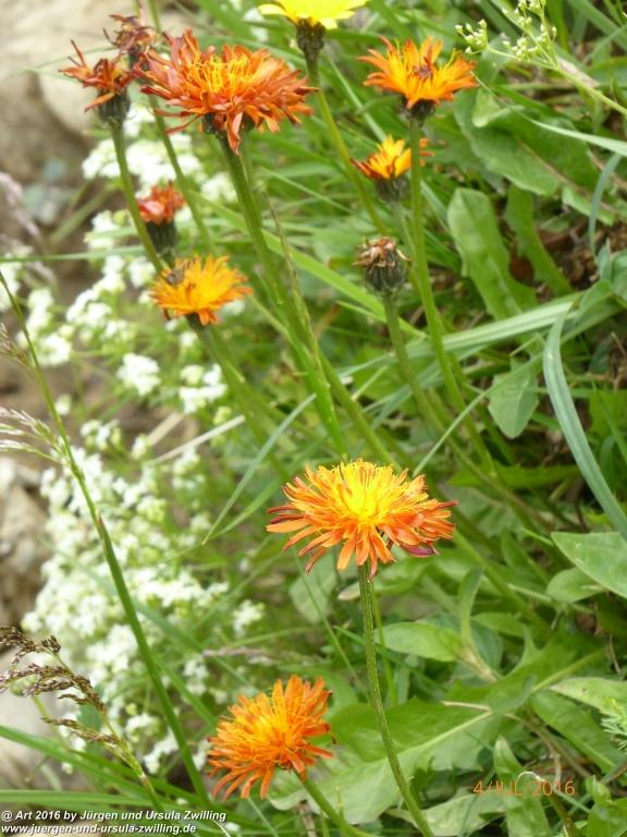 Gipfeltraumtour von Neuhaus auf die Brecherspitze und Josefsthaler Wasserfälle - Schliersee - Tegernsee