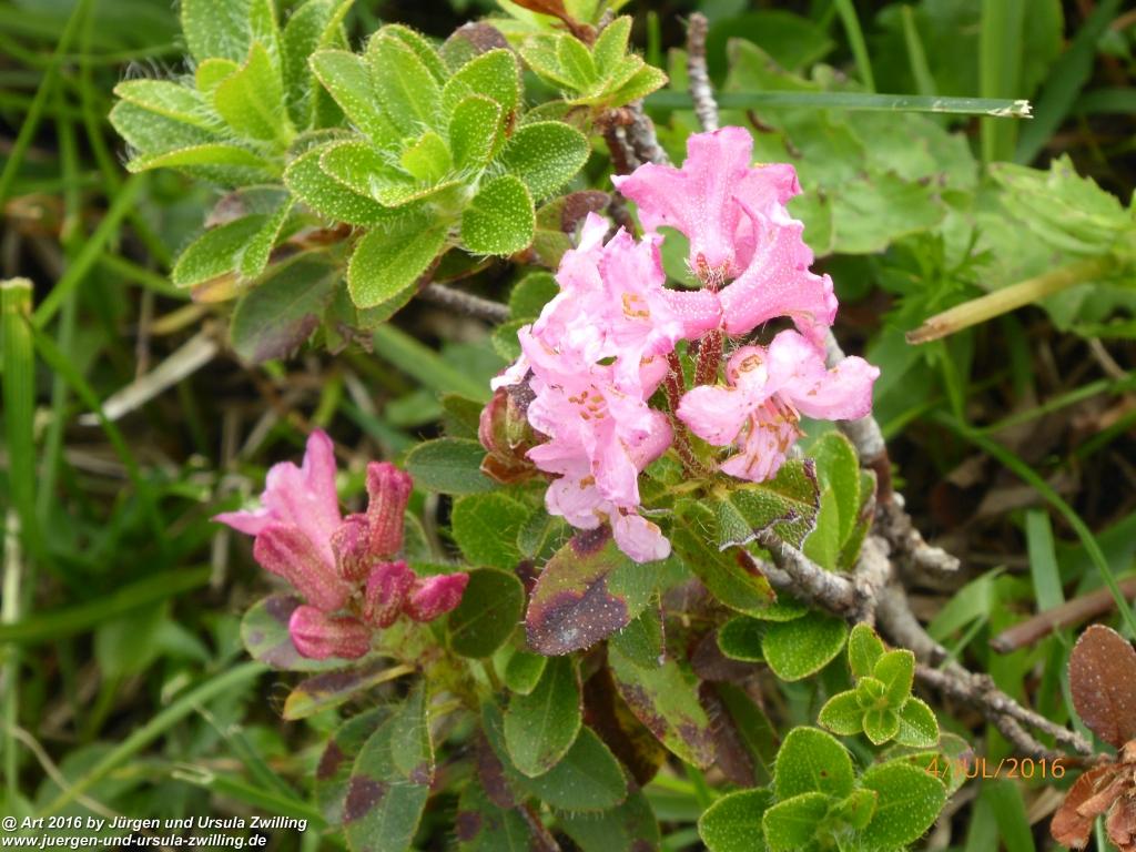 Gipfeltraumtour von Neuhaus auf die Brecherspitze und Josefsthaler Wasserfälle - Schliersee - Tegernsee